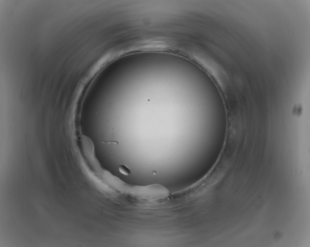 X0000096731475200802051428
