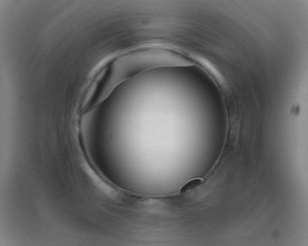 X0000096731476200802051428
