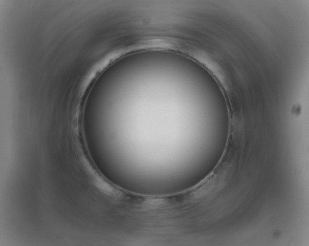 X0000096731477200802051428