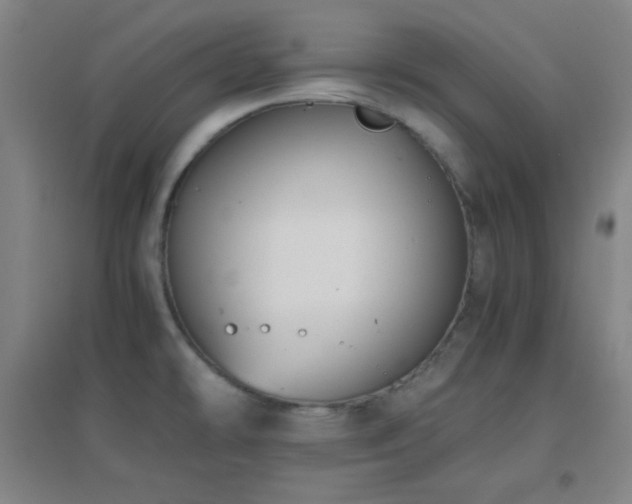 X0000096731478200802051428