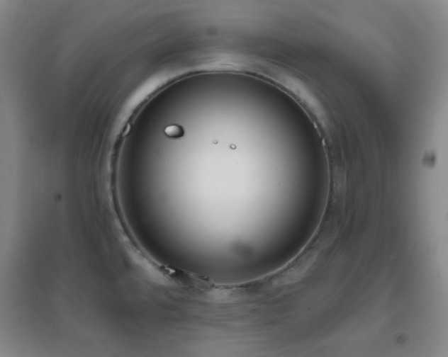 X0000096731480200802051428