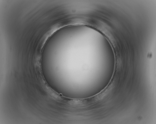 X0000096731481200802051428
