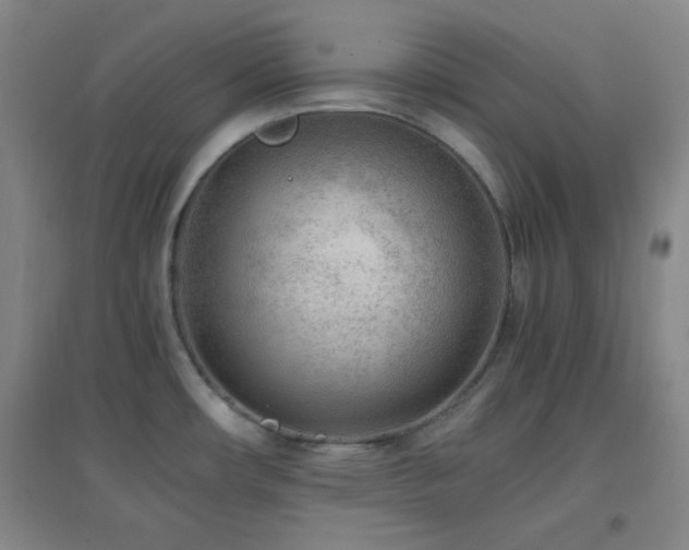 X0000096731482200802051428