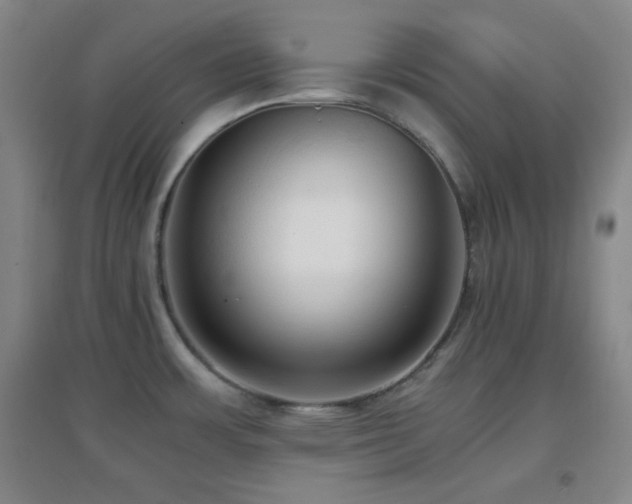 X0000096731483200802051427