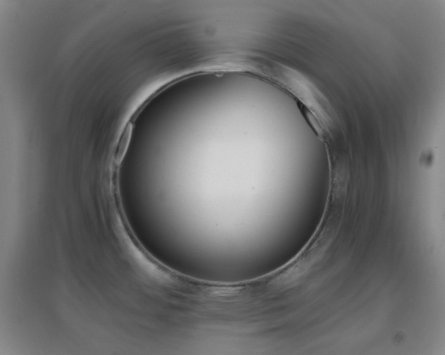 X0000096731484200802051427