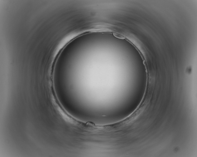 X0000096731485200802051427