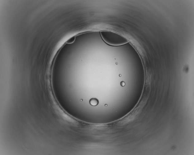 X0000096731486200802051427