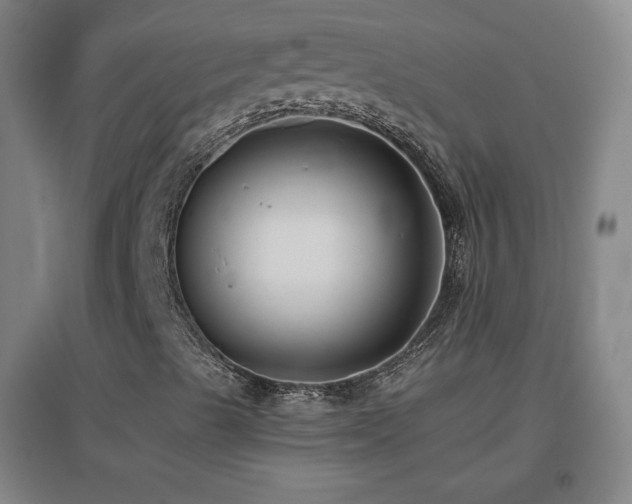 X0000096731489200802051427