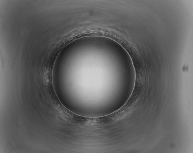 X0000096731490200802051427