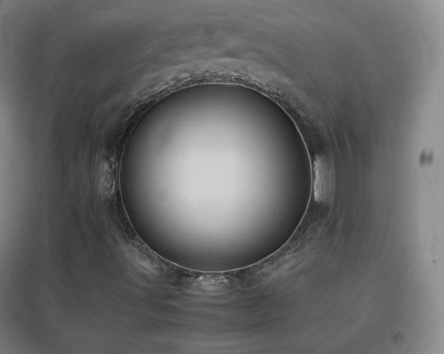 X0000096731491200802051427