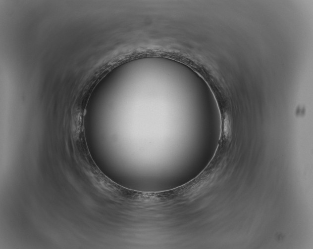 X0000096731492200802051427
