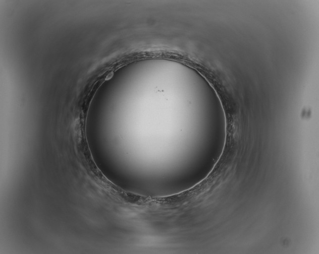 X0000096731493200802051427