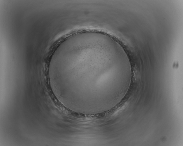 X0000096731494200802051427