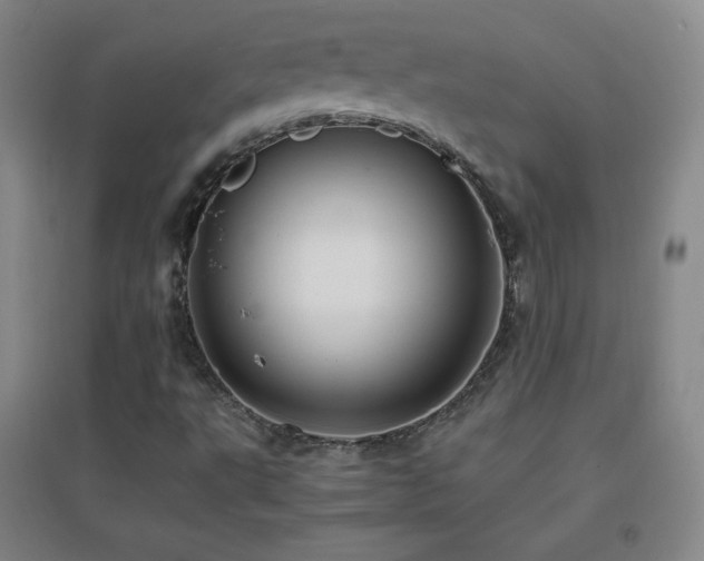 X0000096731495200802051427