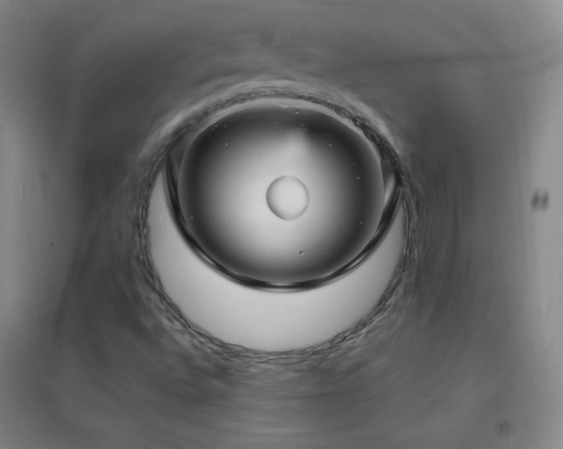 X0000096731496200802051427