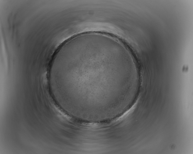 X0000096731497200802051427