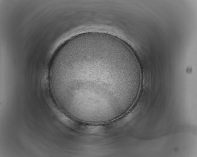 X0000096731498200802051427