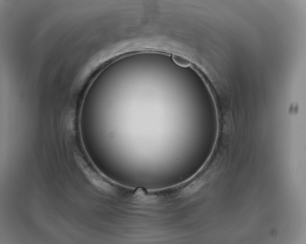 X0000096731499200802051427