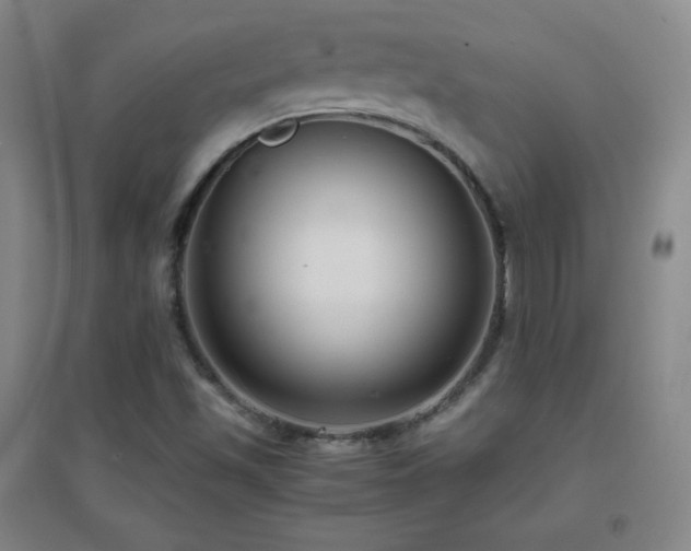 X0000096731501200802051427