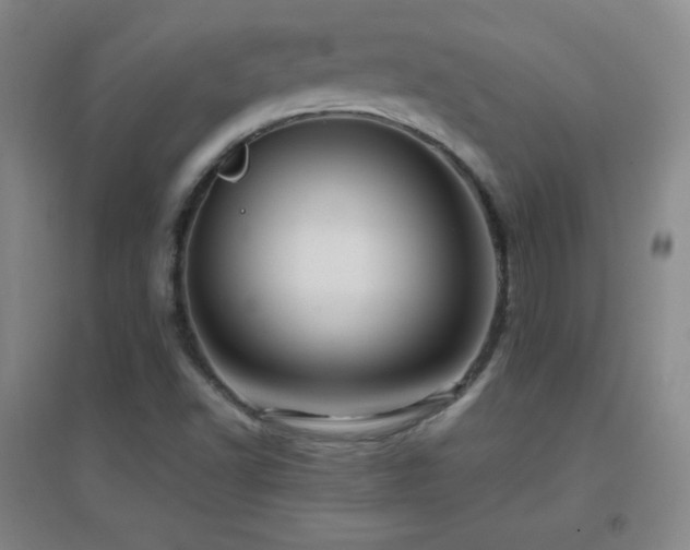 X0000096731502200802051427