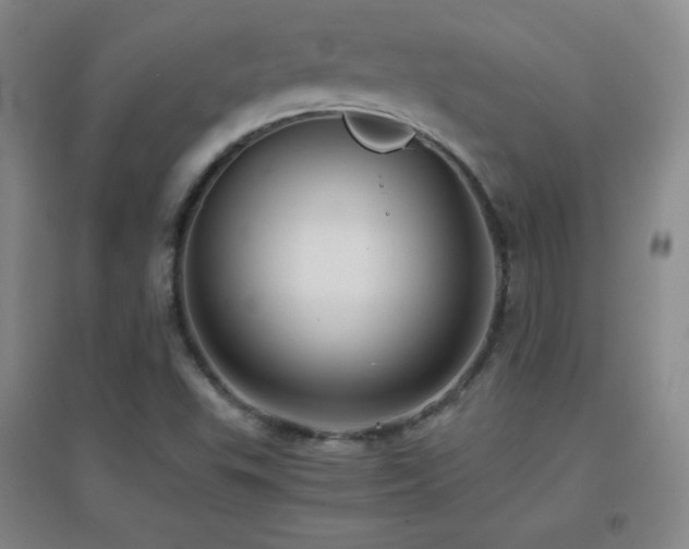 X0000096731503200802051427