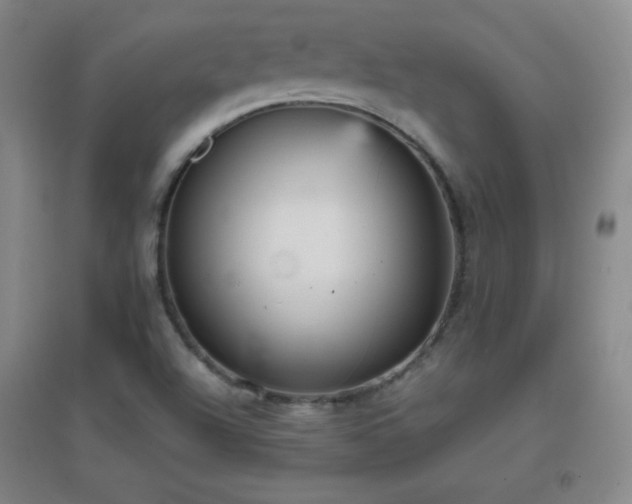 X0000096731504200802051427