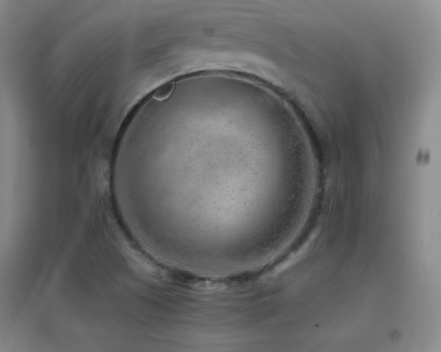 X0000096731505200802051427
