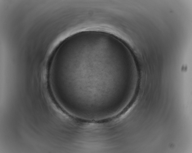 X0000096731506200802051427