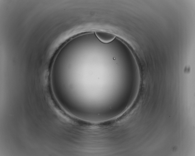X0000096731507200802051427