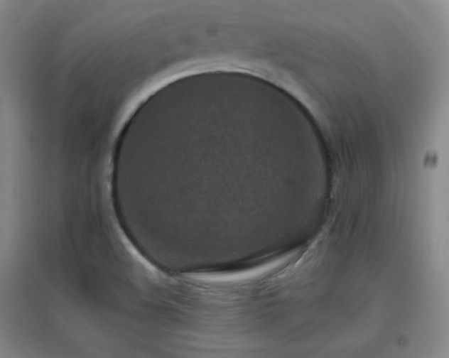 X0000096731508200802051427