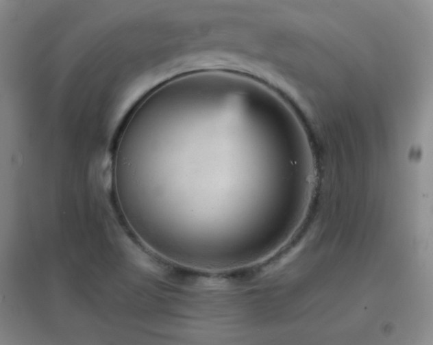 X0000096731509200802051427