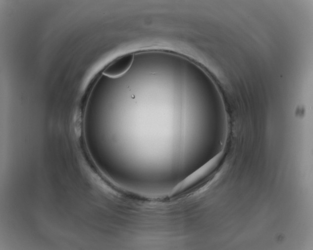 X0000096731510200802051427