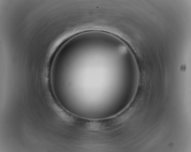 X0000096731511200802051427