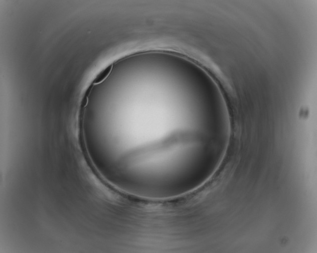 X0000096731512200802051427