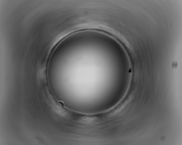 X0000096731513200802051427