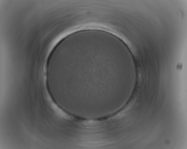 X0000096731515200802051427
