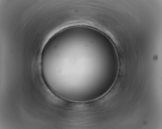 X0000096731516200802051427