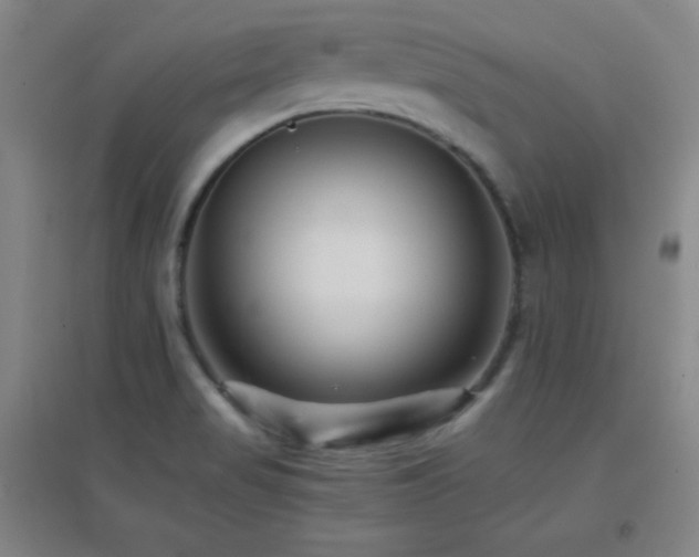 X0000096731517200802051427