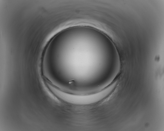 X0000096731518200802051427