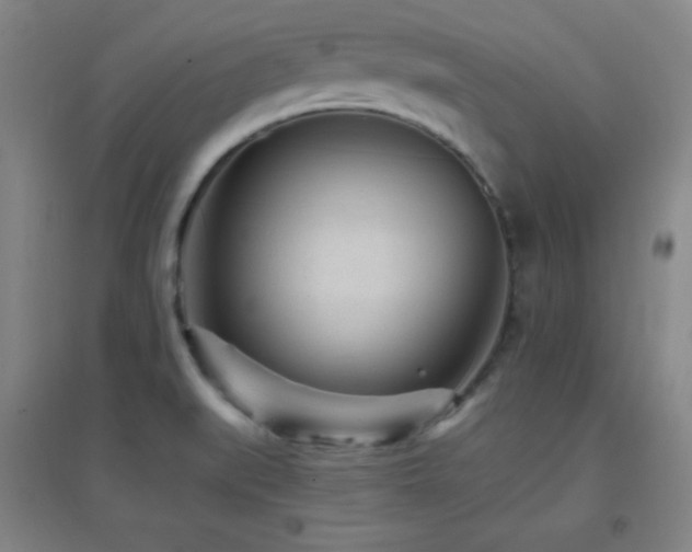 X0000096731519200802051427