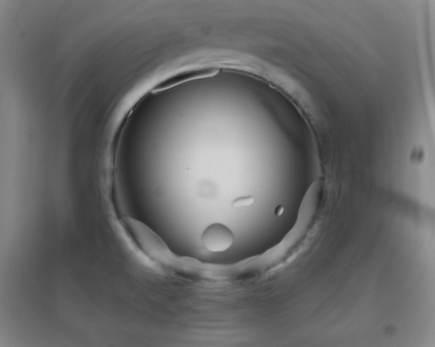 X0000096731520200802051427