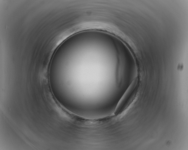 X0000096731521200802051427