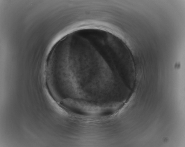 X0000096731522200802051427