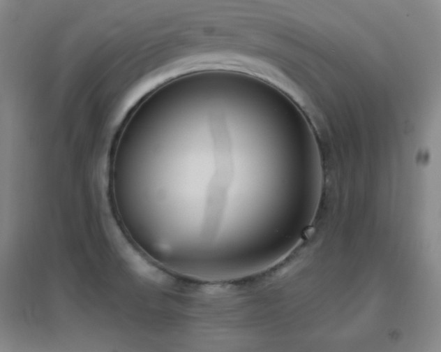 X0000096731523200802051427