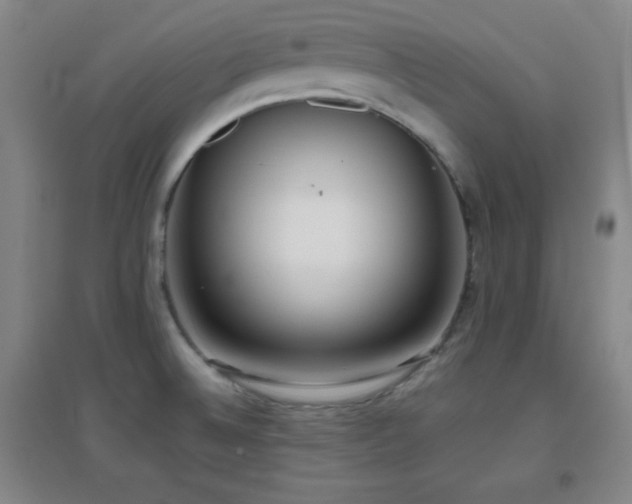 X0000096731524200802051427