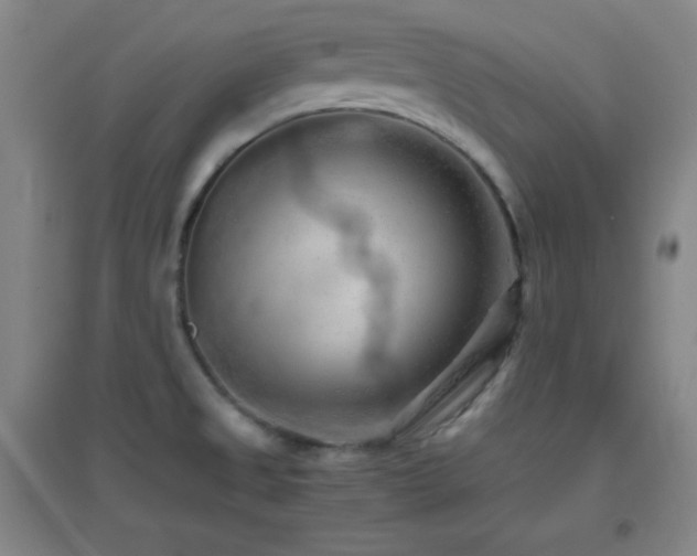 X0000096731525200802051427
