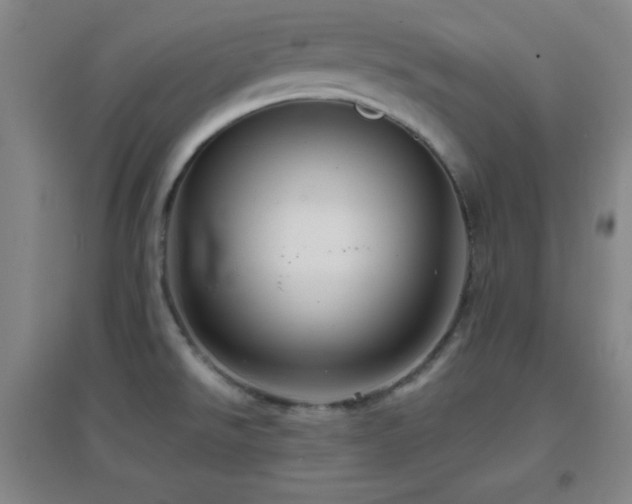 X0000096731526200802051427