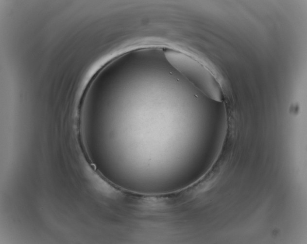 X0000096731527200802051427