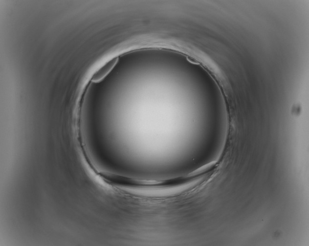 X0000096731528200802051427