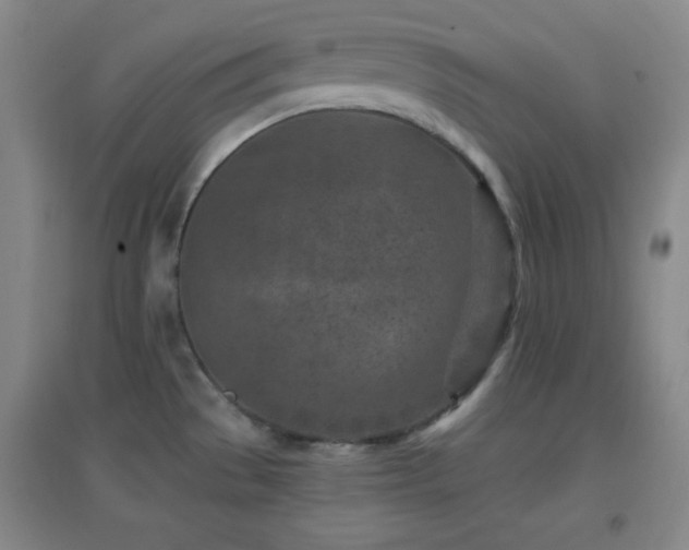 X0000096731529200802051427